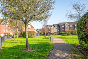 Photo 12- click for photo gallery